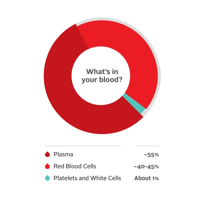 How Often Can You Donate Plasma? - ABO Plasma