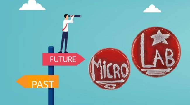 A drawing that says &quot;Past&quot; and &quot;Future&quot; written on arrows pointing in either direction, with the words “Micro&quot; and &quot;Lab” written on culture plates of one of our model organisms Staphylococcus aureus.