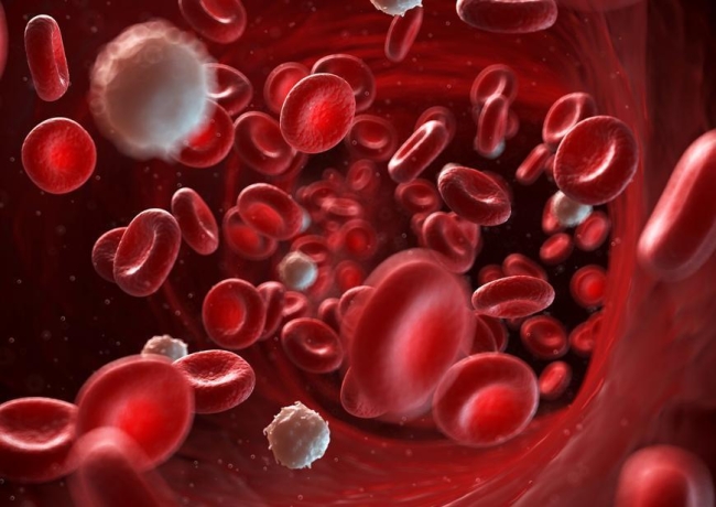 battling bacteria