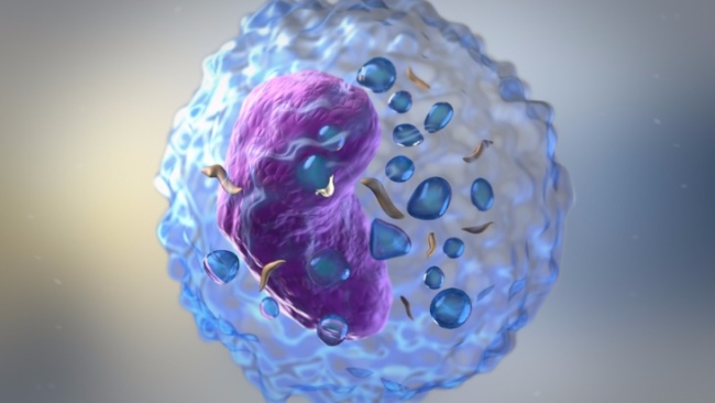 Natural Killer Cell - istock
